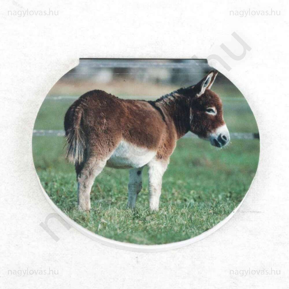 Gray`s emlékkönyv 